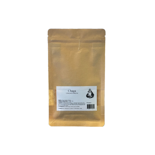 Seiðkarlinn Chaga 500mg 90 hylki