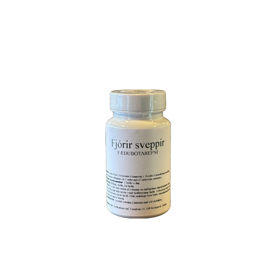 Seiðkarlinn fjórir sveppir 600mg 60 hylki