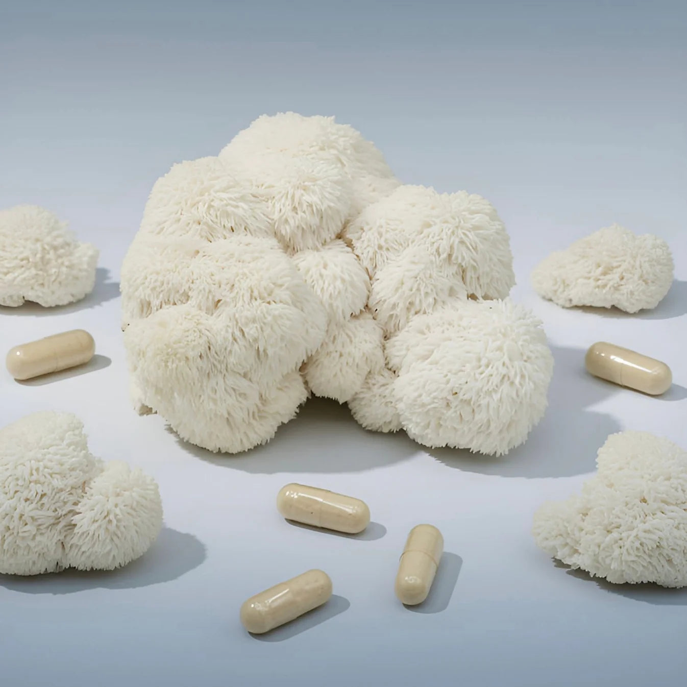 North Tropics Lions Mane 400mg 90 hylki