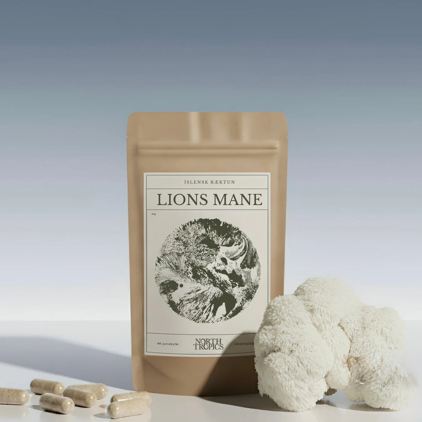 North Tropics Lions Mane 400mg 90 hylki